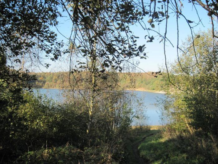 Chalet Kokomo - Gelegen In Bosrijkgebied Van Drenthe Eext Dış mekan fotoğraf