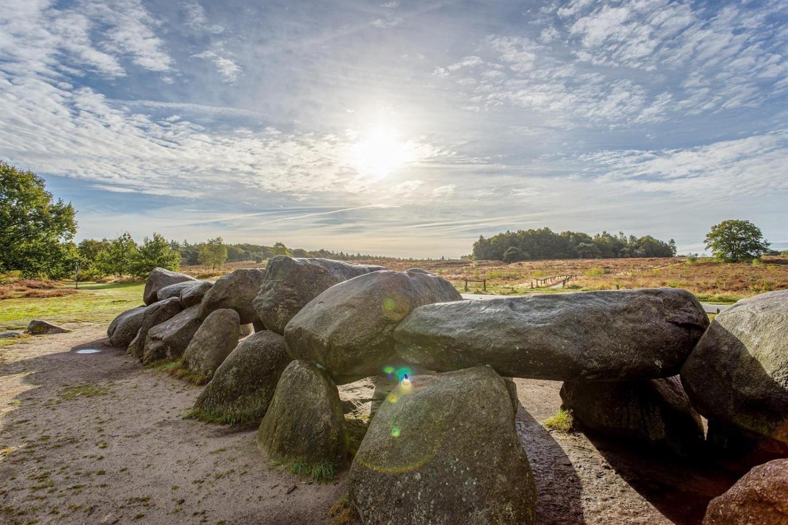 Chalet Kokomo - Gelegen In Bosrijkgebied Van Drenthe Eext Dış mekan fotoğraf